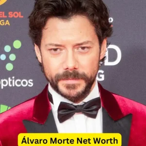 Álvaro Morte Net Worth